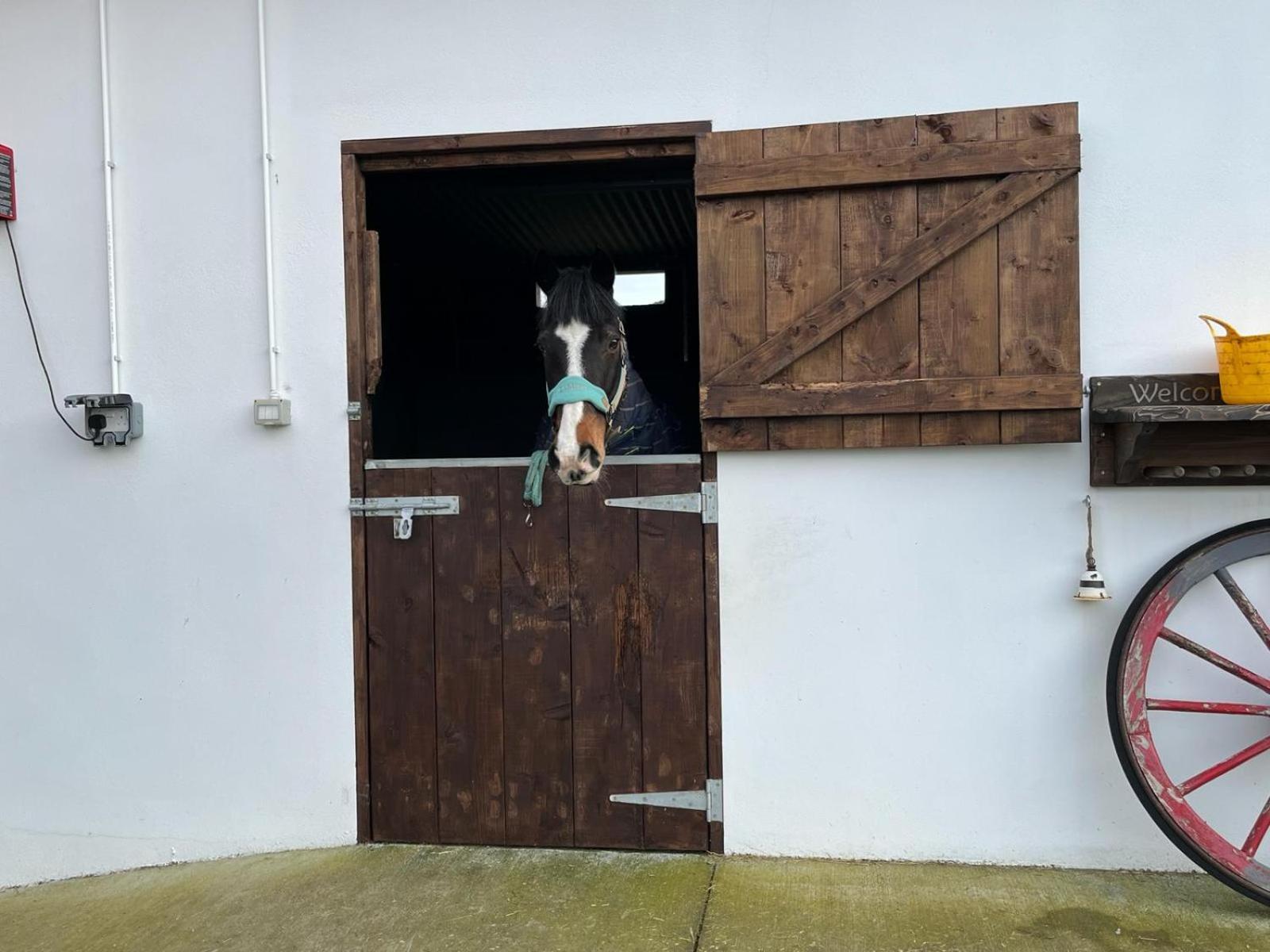 Toddys Hideaway Apartment Cavan Exterior foto